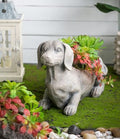 Dog Planter Garden Decor, 20 Inch, Gray by Noeko