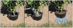 5 Pack Plant Rings for Outdoor Plants – Interlocking Planting Grow Rings | Garden Rings for Plants Support and Soil Moisture Retention – Grow Rings for Plants | Made in USA - Image 4