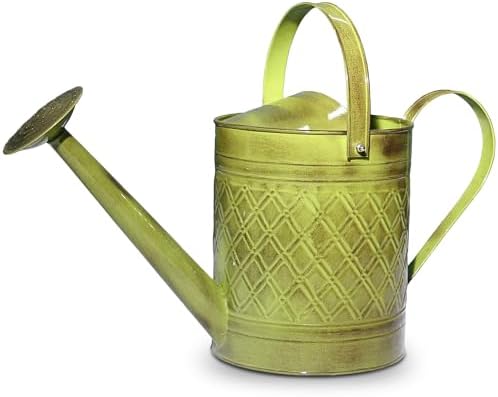 Headwind Wexley 2 Gallon Watering Can, Large Metal Watering Can Outdoor with Brass Rose Sprinkler Head, Vintage Galvanized Steel Garden Watering Can – Tansy Green by Headwind
