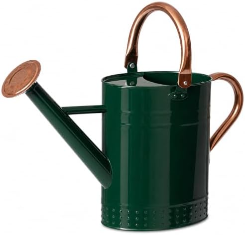 Gardenised 1 Gallon Galvanized Metal Watering Can with Removable Long Spout & Sprinkler Head for Indoor & Outdoor Use Ideal for Garden Flowers Potted Plants Houseplants Modern Home Accessories, Green by Gardenised