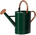 Gardenised 1 Gallon Galvanized Metal Watering Can with Removable Long Spout & Sprinkler Head for Indoor & Outdoor Use Ideal for Garden Flowers Potted Plants Houseplants Modern Home Accessories, Green by Gardenised