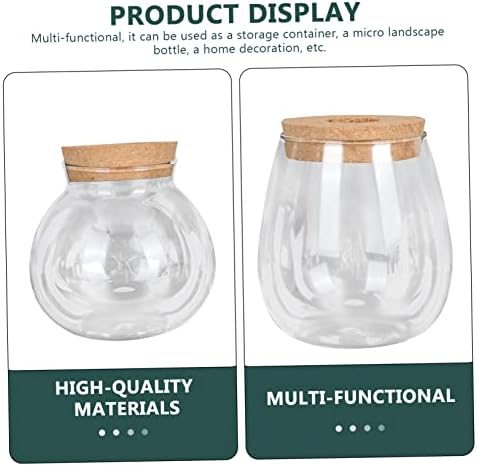 2pcs Glass Hydroponic Plant Bottle Decorative Container - Image 4