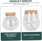 2pcs Glass Hydroponic Plant Bottle Decorative Container - Image 4
