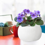 8 inch Self Watering Ceramic African Violet Pot for Indoor Plants - Image 7