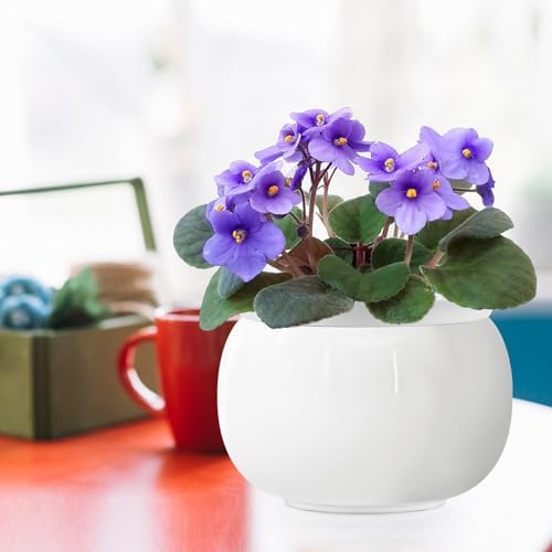 8 inch Self Watering Ceramic African Violet Pot for Indoor Plants - Image 7