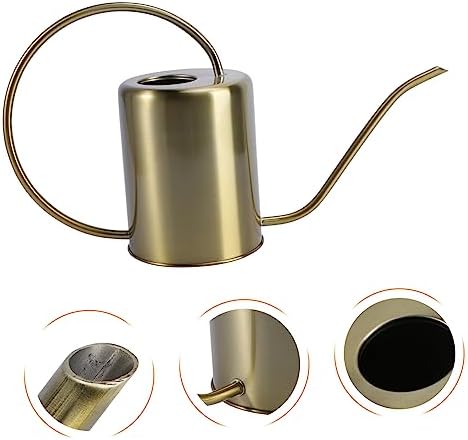 Stainless Steel Watering Can 2000ml Long Spout for Gardening - Image 4