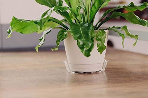 Curtis Wagner Plastics Plant Tray Basket Liner (5-Pack) - Clear, Deep (Diameter: 12.25" Base, 14" Top, 3.62" Depth) Thin Plastic Liners for Planters for Indoor/Outdoor Plant Pots - Image 5