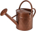 1.75 Gallon Outdoor Metal Watering Can for Garden Plants,Copper Color Watering Can with Removable Spray Spout, Ideal for Outdoor Use (Copper) by BLstyle