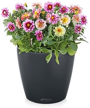 Classico Color 28 Slate, Self-Watering Round Planter, D11 H10.2 in - Image 2