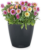 LECHUZA Classico Color 35 Slate, Self-Watering Round Planter, D13.8 H11.8 in, Slate Matt - Image 2