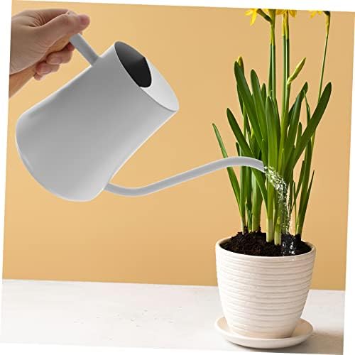 Mini Long Spout Watering Kettle Garden Plant Water Sprayer 1000ml Capacity - Image 5