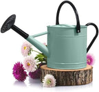Plexon Metal Watering Can Outdoor 1 Gallon, Flower Plant Gardening Garden Large Watering Can Pot, Black Galvanized Steel Handles and Removable Spray Spout, Aqua Mist Blue by Plexon