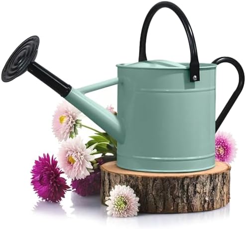Plexon Metal Watering Can Outdoor 1 Gallon, Flower Plant Gardening Garden Large Watering Can Pot, Black Galvanized Steel Handles and Removable Spray Spout, Aqua Mist Blue by Plexon