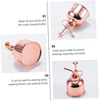 Vintage Succulent Watering Can Bottle with Pump, 300ml Stainless Steel - Image 6