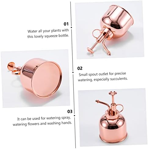 Vintage Succulent Watering Can Bottle with Pump, 300ml Stainless Steel - Image 6