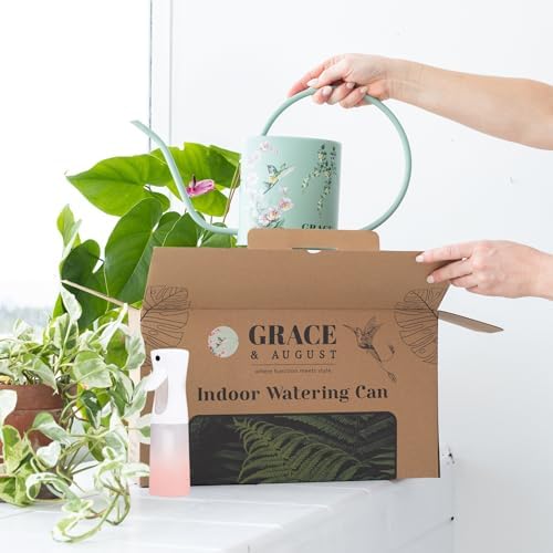 Indoor Watering Can & Mist Spray Bottle Set for Indoor Plants - Decorative - Image 3