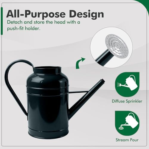 Galvanized Iron Watering Can for Indoor Plants, Bowl Watering Cans for House Plant Garden Flower, Long Spout Water Can for Outdoor Watering Plants 8.71L 2.3 Gallon Silver - Image 4