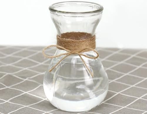 3pcs Glass Flower Storage Bottle Hydroponic Plant Vase Xmas - Image 6