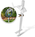 Aqua Joe SJ-SHSBB-WHT Steel Garden Hose Stand with Solid Brass Faucet and Quick Install Anchor Base, White by AquaJoe%C2%AE