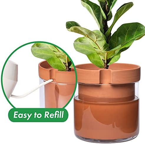 Phoenix Vine 10 Inch Self Watering Planter Pot, Terracotta Clay Pot with Glass Reservoir for Indoor Plants, Herbs, Flowers, Set of 1, 52-A-I-1 - Image 4