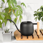 Stainless Steel Watering Can, 1.2L Indoor Plant Waterer with Long Spout, Wooden Handle for Flowers Succulents Bonsai (Black) - Image 2