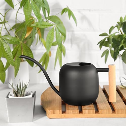 Stainless Steel Watering Can, 1.2L Indoor Plant Waterer with Long Spout, Wooden Handle for Flowers Succulents Bonsai (Black) - Image 2