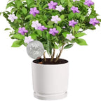 Self Watering Globes Plastic Ball Waterer (Style 3) by Unknown