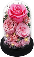 Casaido Preserved Roses Flowers for Delivery, Mothers Day Rose Gifts for Her, Pink Forever Flores in Glass Dome for Women Mom Wife Grandma, Anniversary Birthday Rose for Vanlentines Day Christmas by Casaido