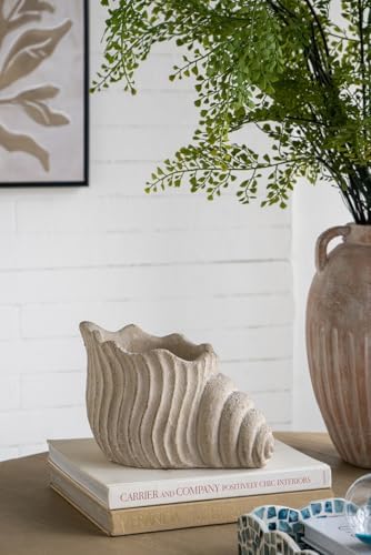 Nautilus Shell Planter, Beige by Noeko