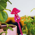 Bubblegum Stuff - Mushroom Micro Dousers, Neon Coloured Glass - Garden Tools, Home Accessories, Garden Gadgets, Automatic Watering System, Moisture Meter Plant - Batteries Included - Image 4