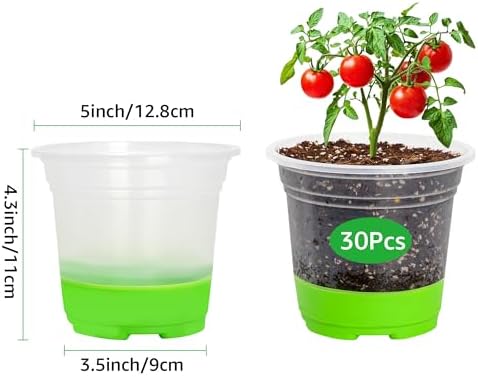 MIXC Clear Nursery Pots with Silicone Base, 5-Inch, 30-Pack - Image 2