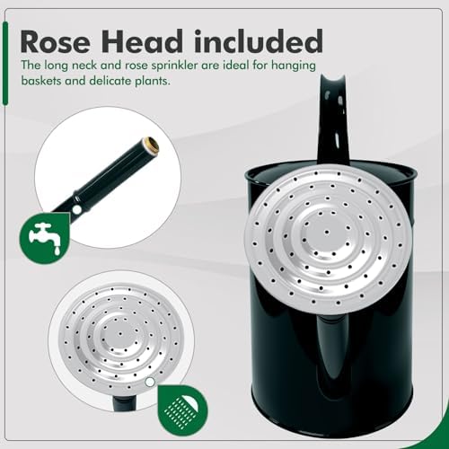 Galvanized Iron Watering Can for Indoor Plants, Oval Watering Cans for House Plant Garden Flower, Long Spout Water Can for Outdoor Watering Plants 9.46L 2.5 Gallon - Image 3
