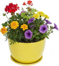 MyGift 7 Inch Yellow Ceramic Planter Pot with Sunburst Design & Saucer by MyGiftHome
