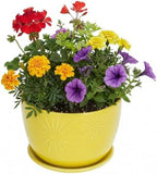 MyGift 7 Inch Yellow Ceramic Planter Pot with Sunburst Design & Saucer by MyGiftHome
