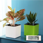 TOYANDONA Self Watering Flower Pot Double Layer PP Planter with Cotton Rope - Image 5