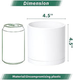 D'vine Dev 6-Pack White Plastic Planters with Saucers, 4.5 in, 74-Z-F-3 - Image 2