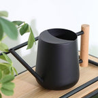 Indoor Watering Can with Long Spout, 16oz Metal Watering Can Plant Watering Can Mini Watering Can with Wood Handle for Indoor Plants, Bonsai Outdoor Garden Flower (Black) - Image 4