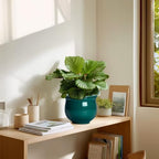 6 Inch Self Watering Plant Pots, Ceramic African Violet Pot with Absorbent Inner Pot, Easy Self Watering Pots for Indoor Plants, Ceramic Planter, Room Decor, Plant Lover Gifts, Blackish Green - Image 7