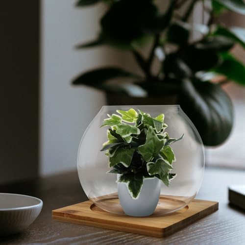 Milisten Glass Micro Landscape Bottle Wood Base for Bedroom Hotel - Image 4