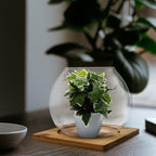 Milisten Glass Micro Landscape Bottle Wood Base for Bedroom Hotel - Image 4