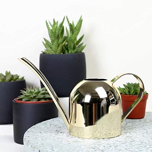 Naysku Long Spout Watering Can, Stainless Steel Rustic Retro Textured - Image 4