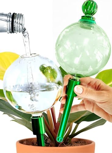 16 Oz 2 pcs Plant Watering Globes for Indoor Plants with Metal Self Watering Planter Insert - Premium XL Glass Hand-Blown Globes - Automatic Plant Waterer Indoor, Gift for Gardeners [Green & Clear] by GARDENBRO