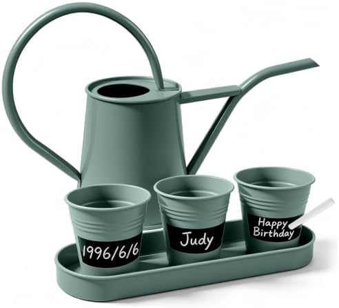 Mint Green Small Watering Can, Metal Galvanized Watering Can with 3 Reusable Chalk‑Writing Mini Flower Pots & Tray, Indoor Desktop Planting Kit for Home Garden & Plant Lover Gifts by LONGRUNHOME
