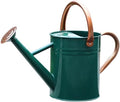 Metal Watering Can for Outdoor Plants, Watering Can 1 Gallon (NewGreen) by SunnyTong