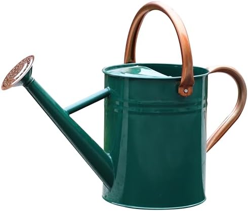Metal Watering Can for Outdoor Plants, Watering Can 1 Gallon (NewGreen) by SunnyTong