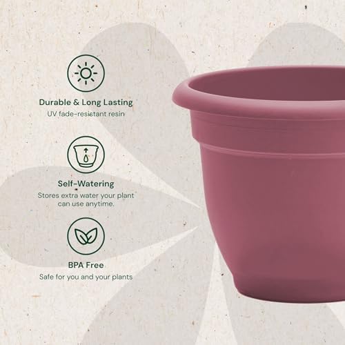 Bloem Ariana 8" Plastic Self-Watering Planter, Dusty Rose, 4-Pack - Image 4