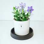 Plant Saucer Tray for Ceramic Plastic Pots, 18 inch Plant Saucers for Indoors, Pot Saucers Trays, Bird Bath Bowls, Flower Planter Water Drip Trays for Pots Base (18", Black) - Image 3