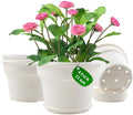 Pottiffe Plant-Pots-Planters-Indoor-Outdoor, 11 inch 4 Pack White by Pottiffe
