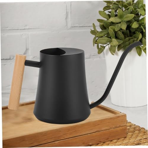 Watering Pot and Wood Handle with Long Spout Vintage Stainless Steel - Image 5