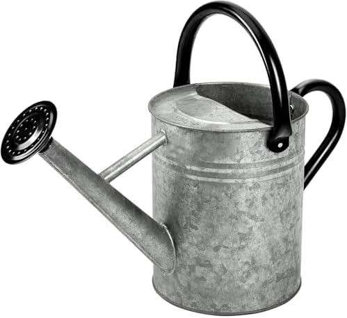 Metal Watering Can, 1 Gallon for Outdoor Garden Plants,SilverB by yourjoy